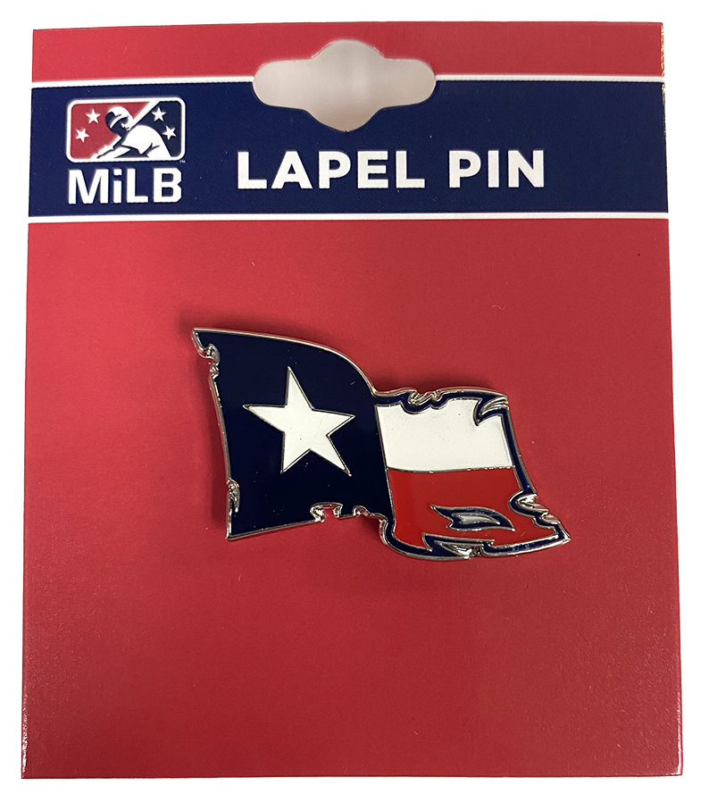 SAM Battleflag Pin