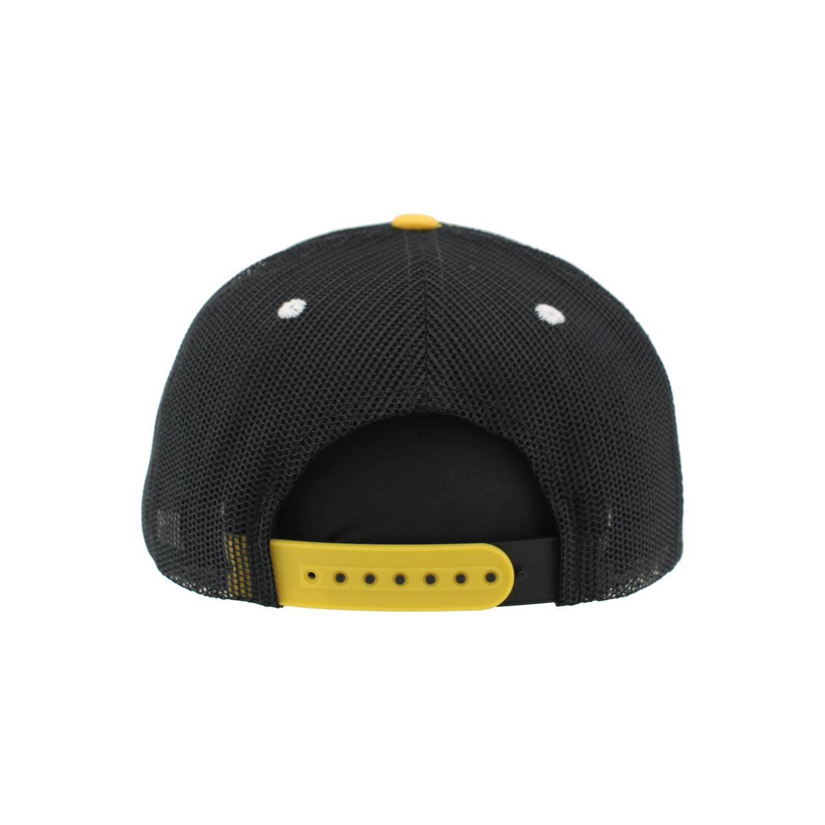 Toledo Walleye Bonefish Gold Tiger Vibe Cap