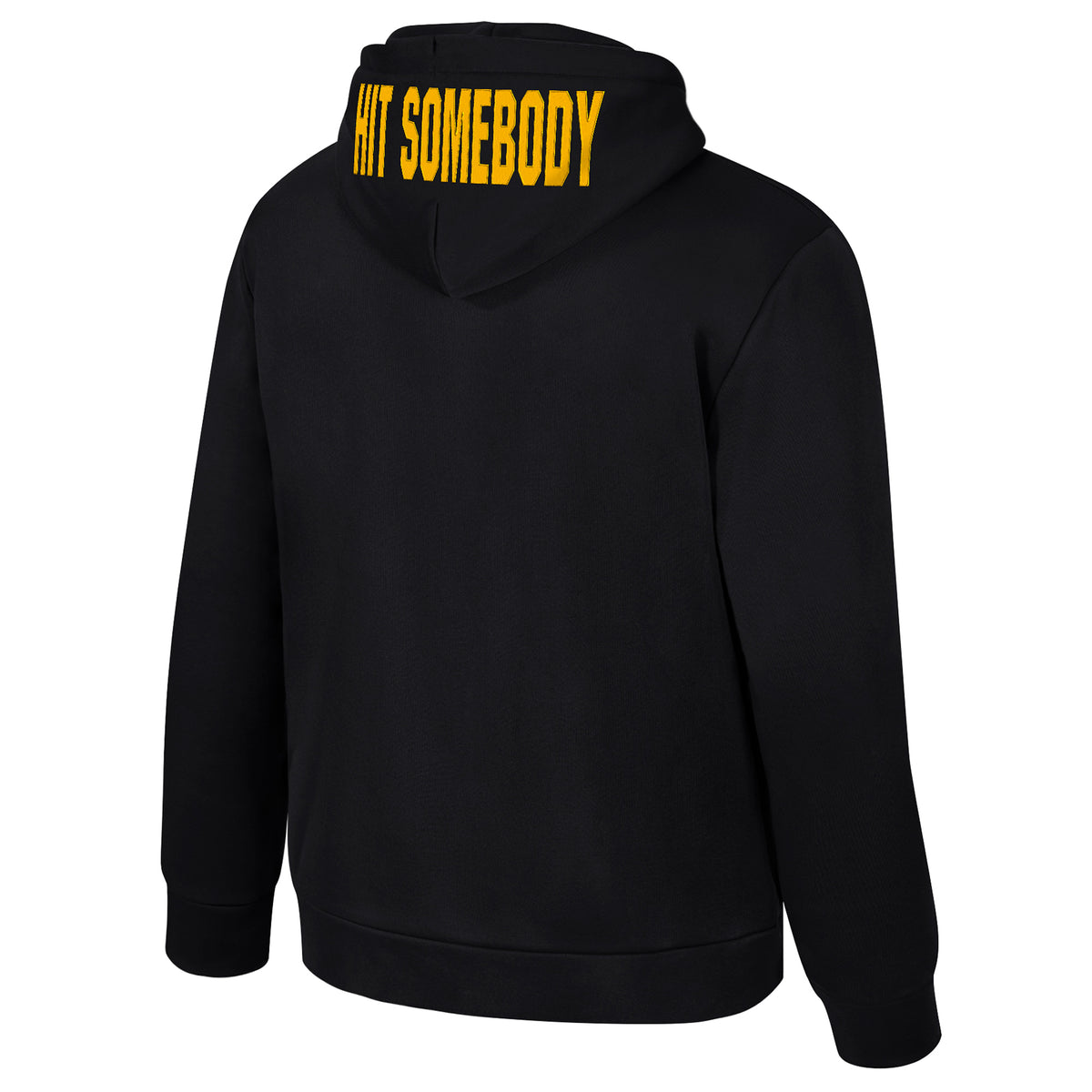 Toledo Walleye System Hood