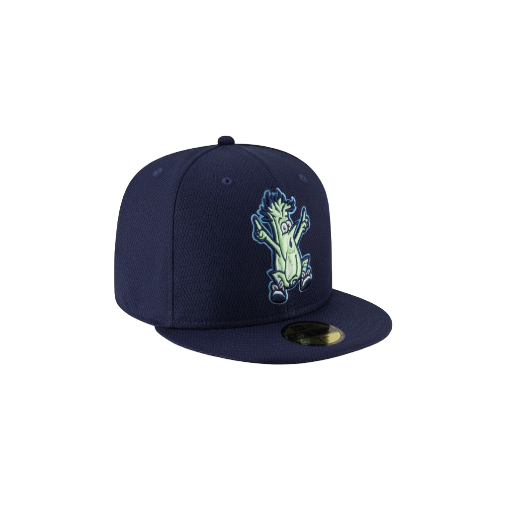 Wilmington Blue Rocks Official BP Cap (PDP TEST)