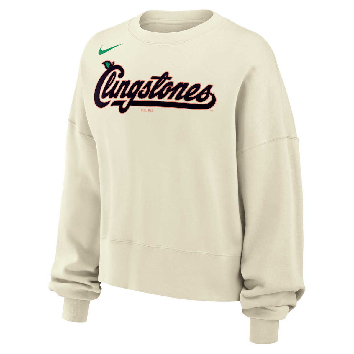 Nike Women's Crop Phoenix Fleece Crewneck
