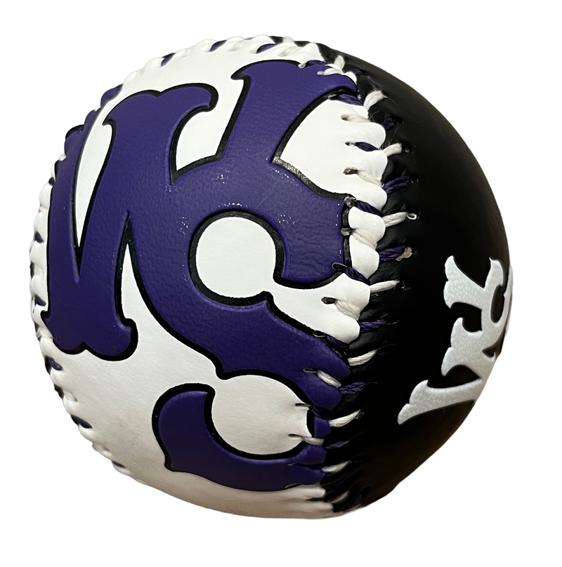Winston-Salem Dash Back 'N Forth Logo Baseball
