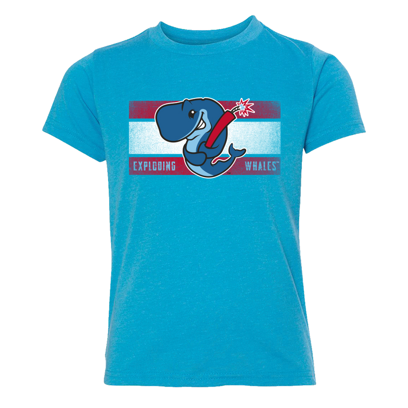 Blue, Youth t-shirt with a graphic of a whale and text on a white background