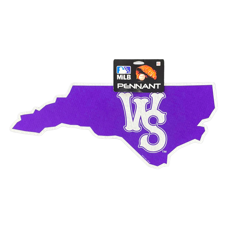 Winston-Salem Dash State Pennant