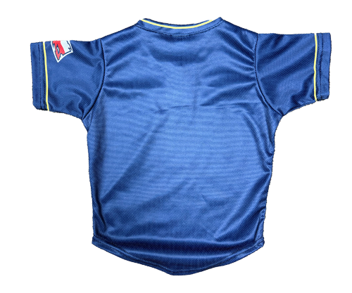 SAM Toddler Alt Jersey 18MO