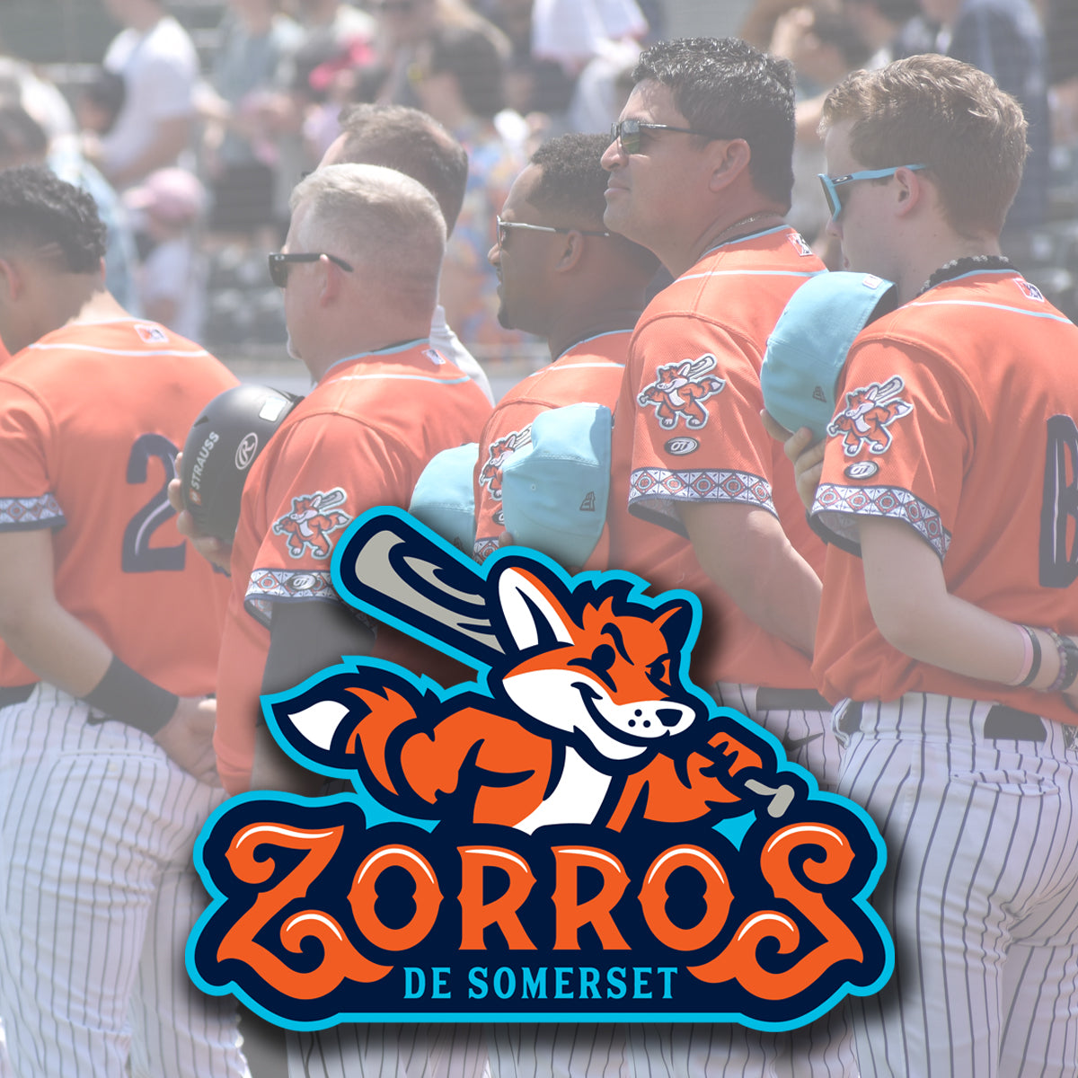 Zorros 1200 X 1200.jpg