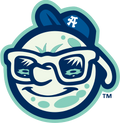 Asheville Tourists logo