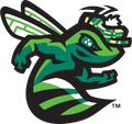 Augusta GreenJackets logo