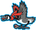 Beloit Sky Carp logo