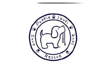 background removed