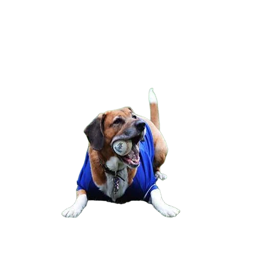 background removed