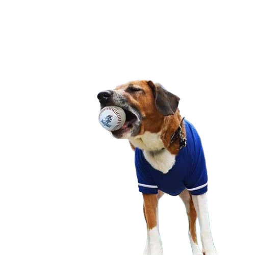 background removed