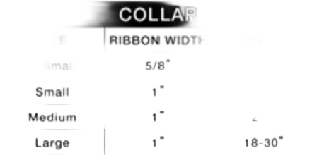 background removed