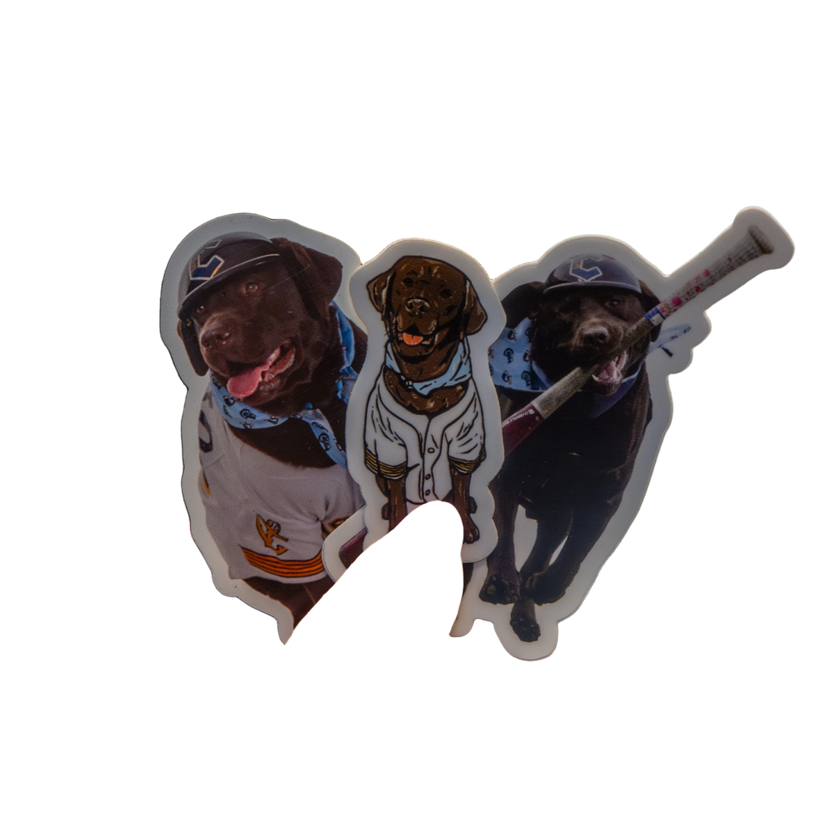 background removed