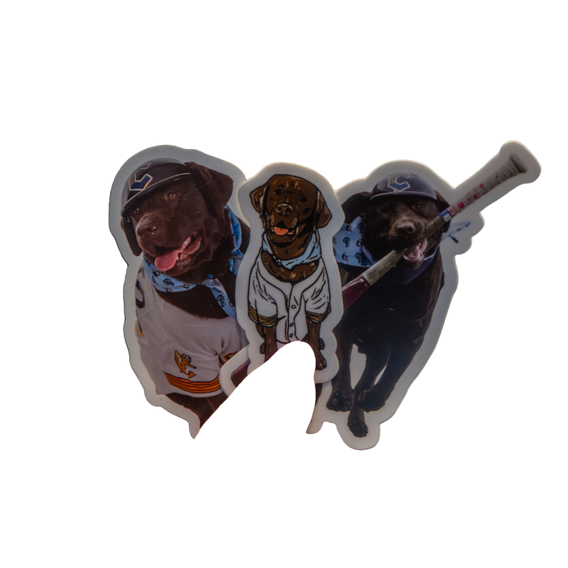 background removed