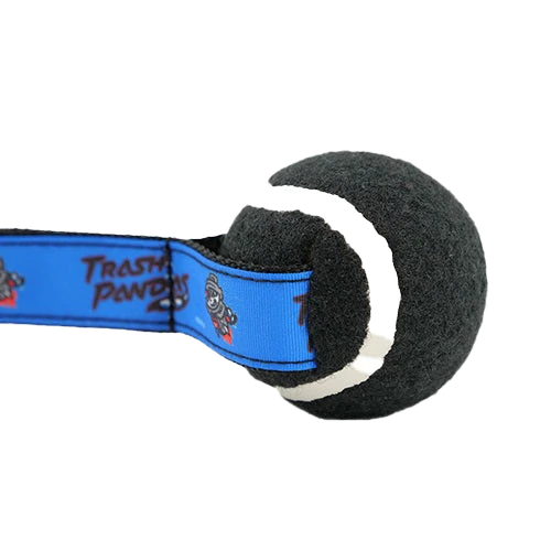 background removed