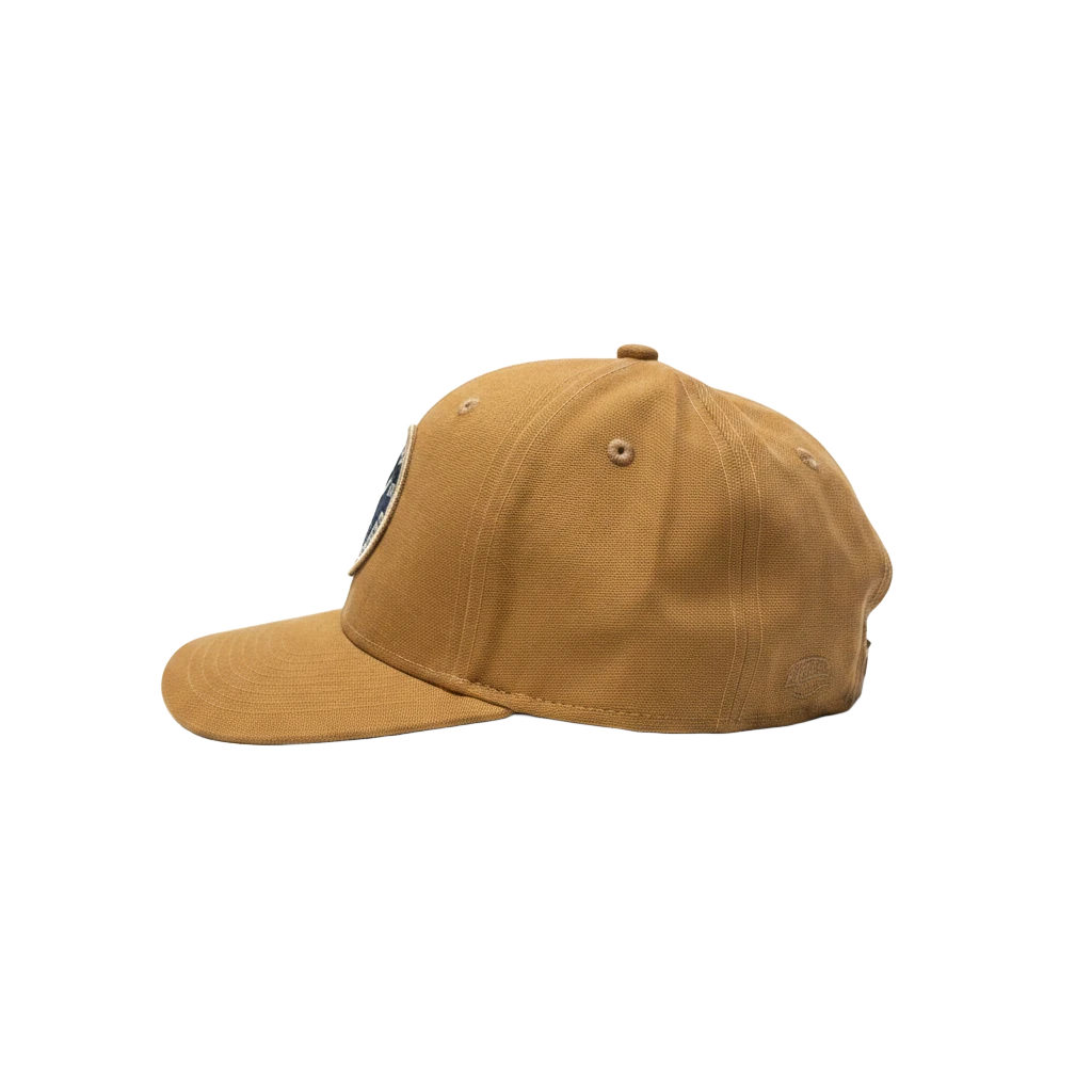 background removed