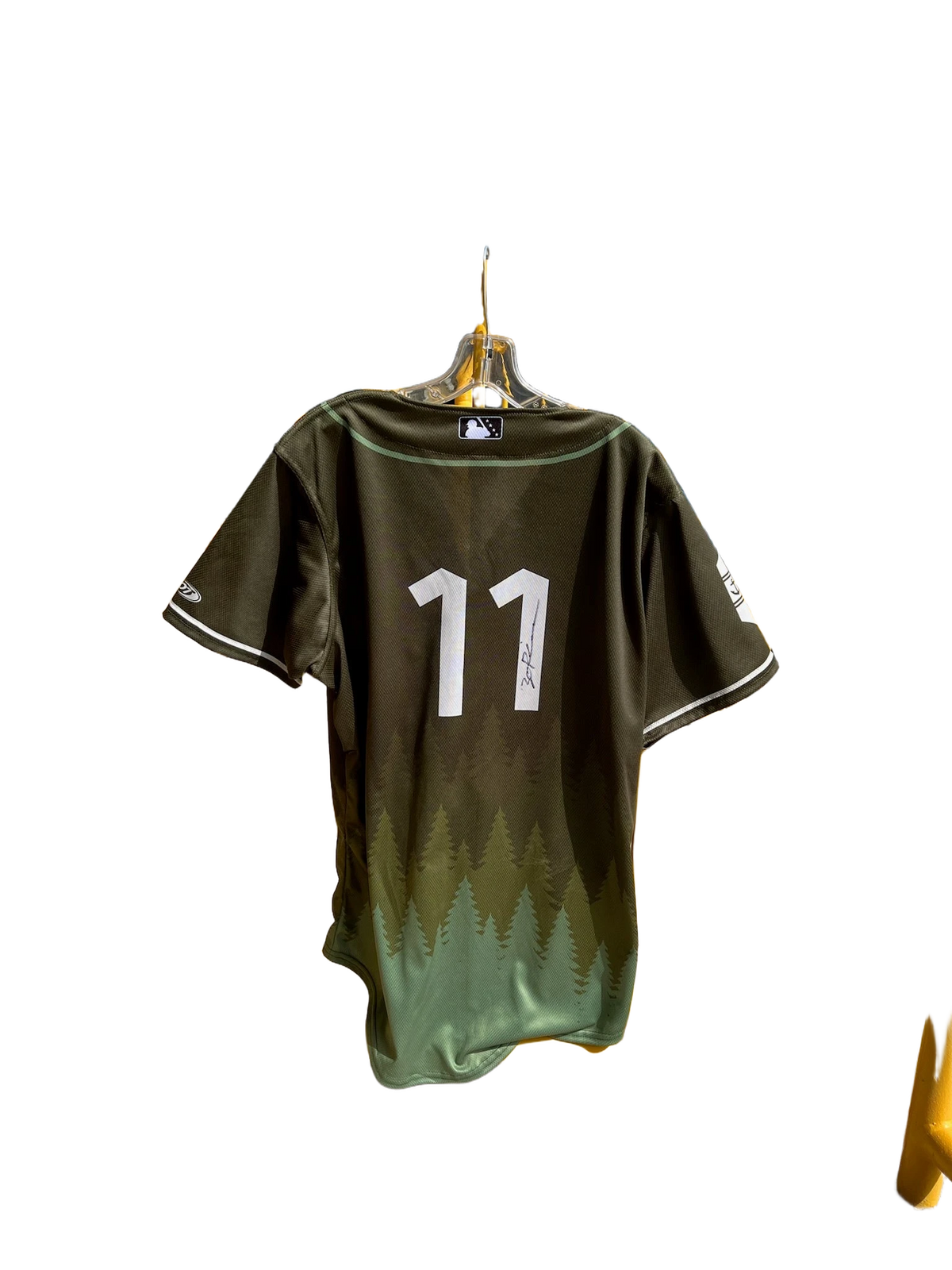 background removed