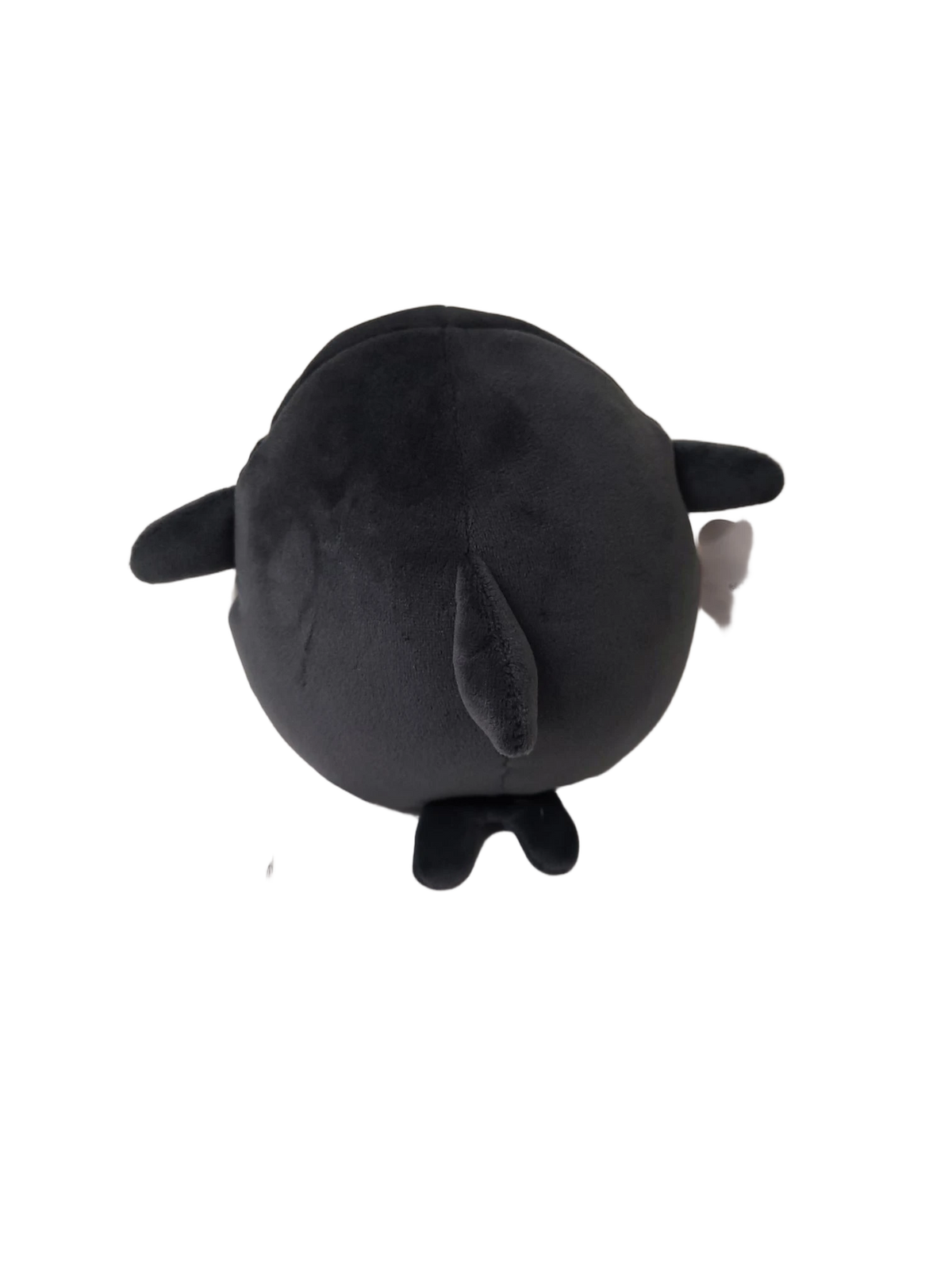 background removed