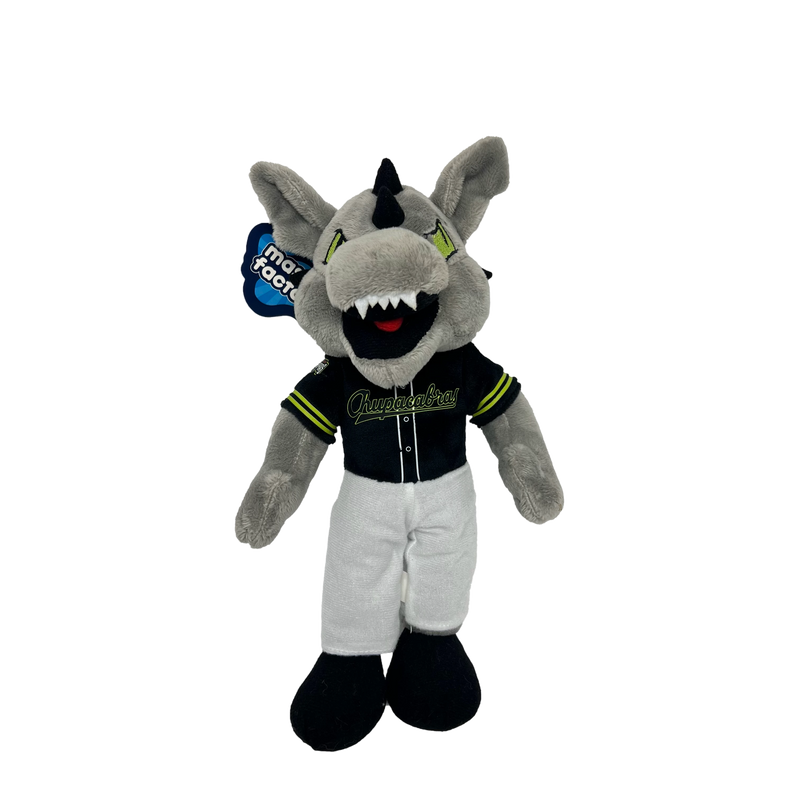 background removed