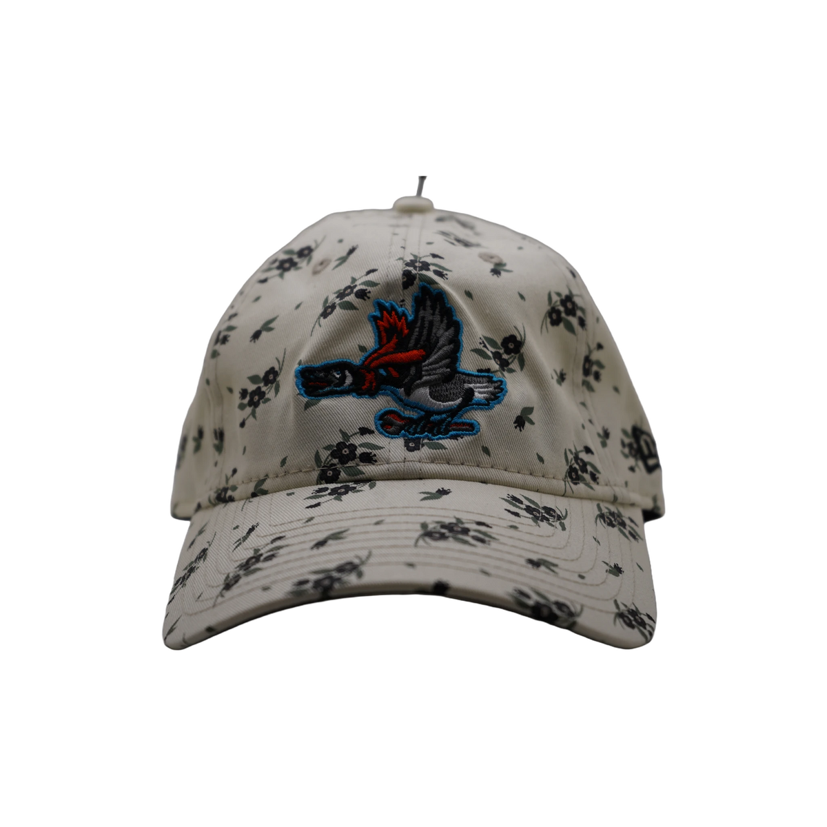 background removed