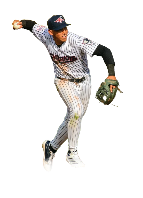 background removed