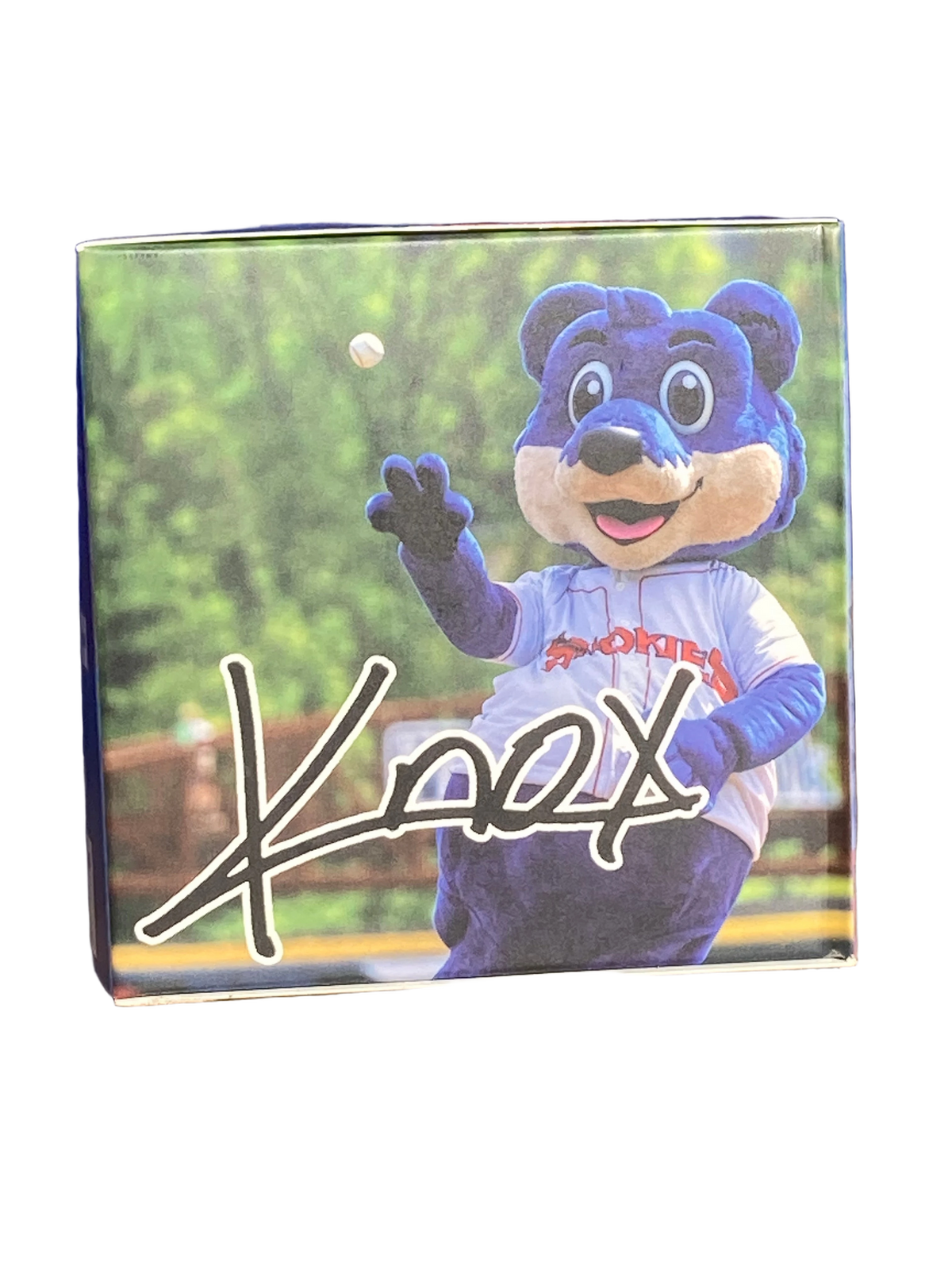 background removed