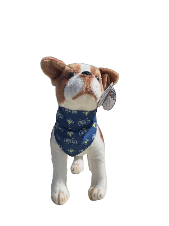 background removed