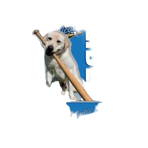 background removed
