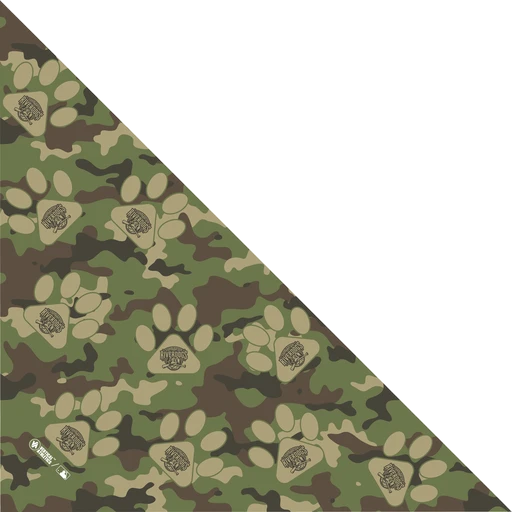 background removed