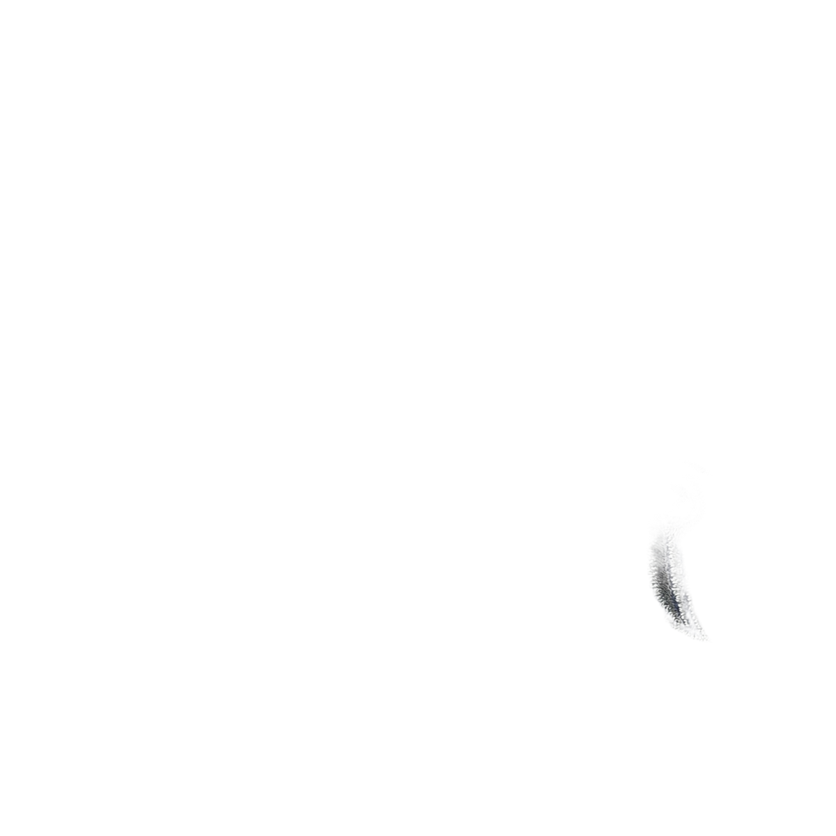 background removed