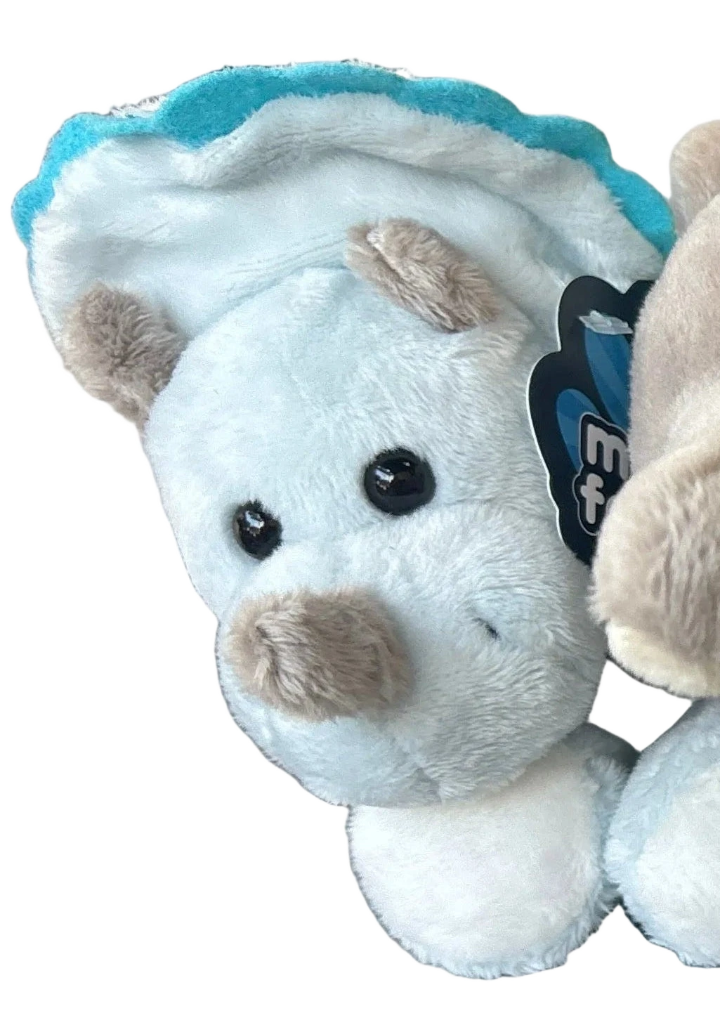 background removed