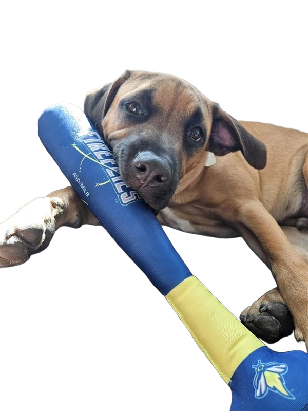 background removed