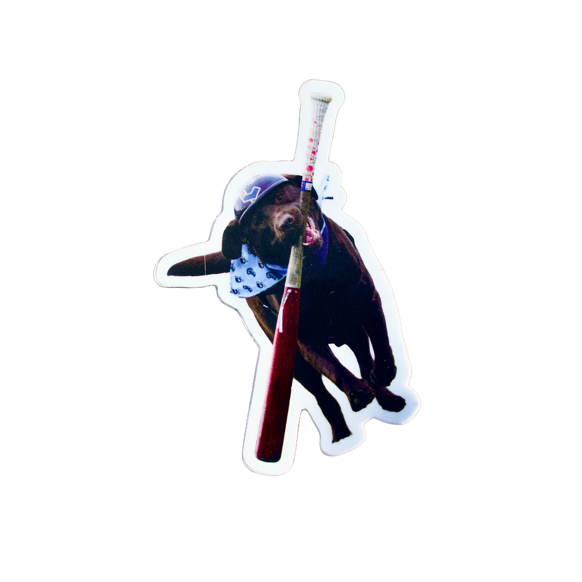background removed