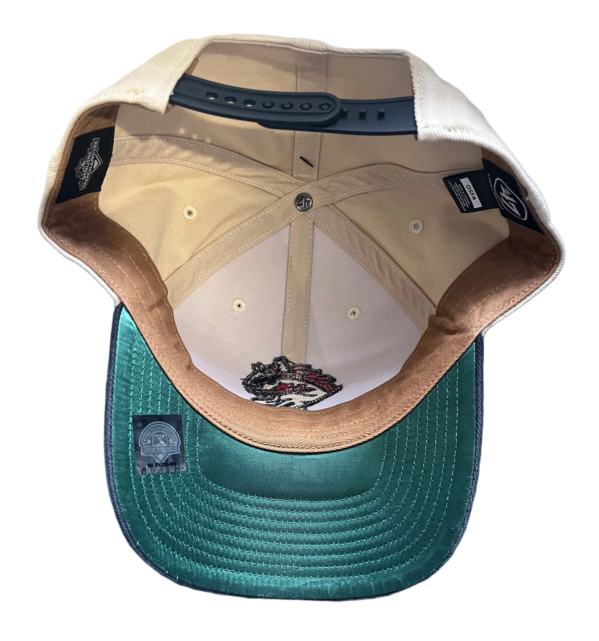 background removed