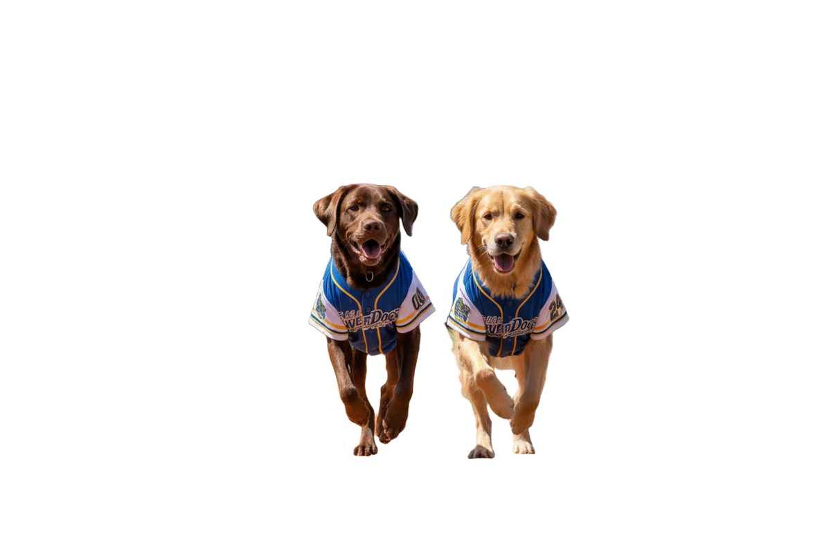 background removed