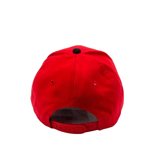 background removed