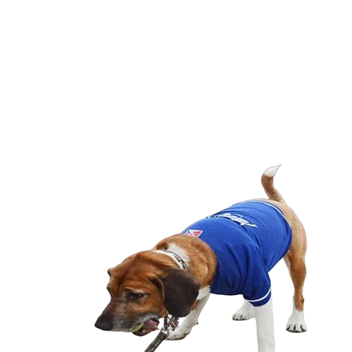 background removed