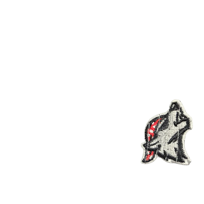 background removed
