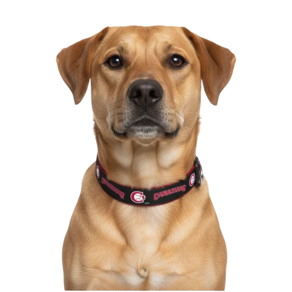 background removed
