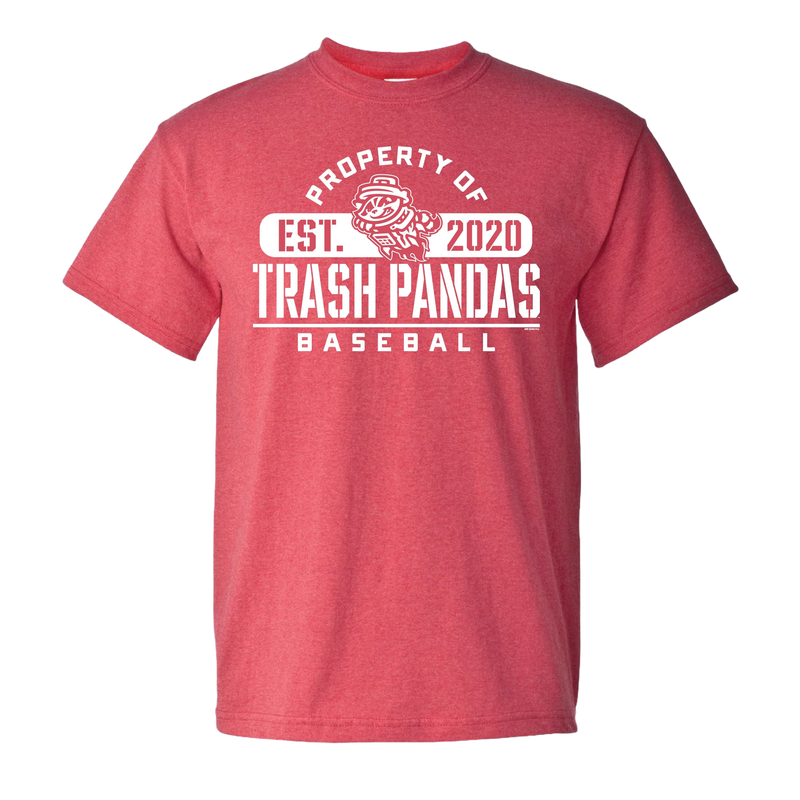 background removed