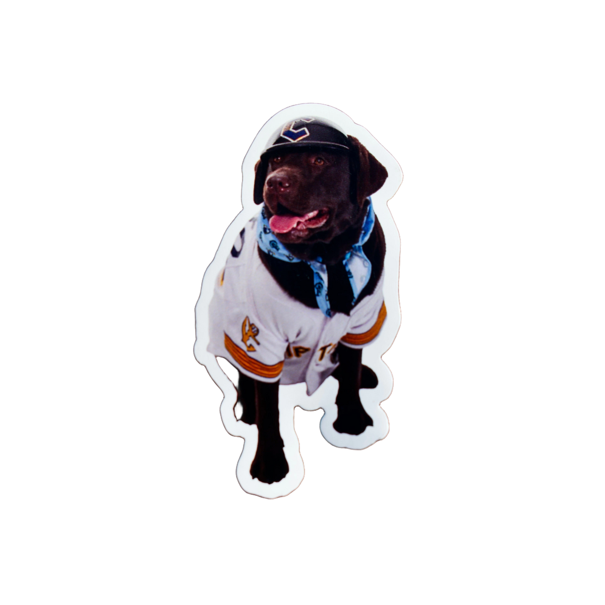 background removed