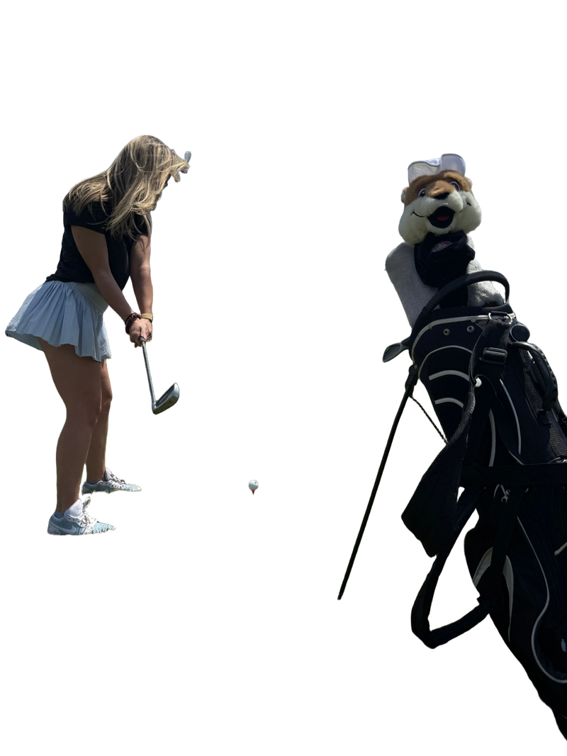 background removed