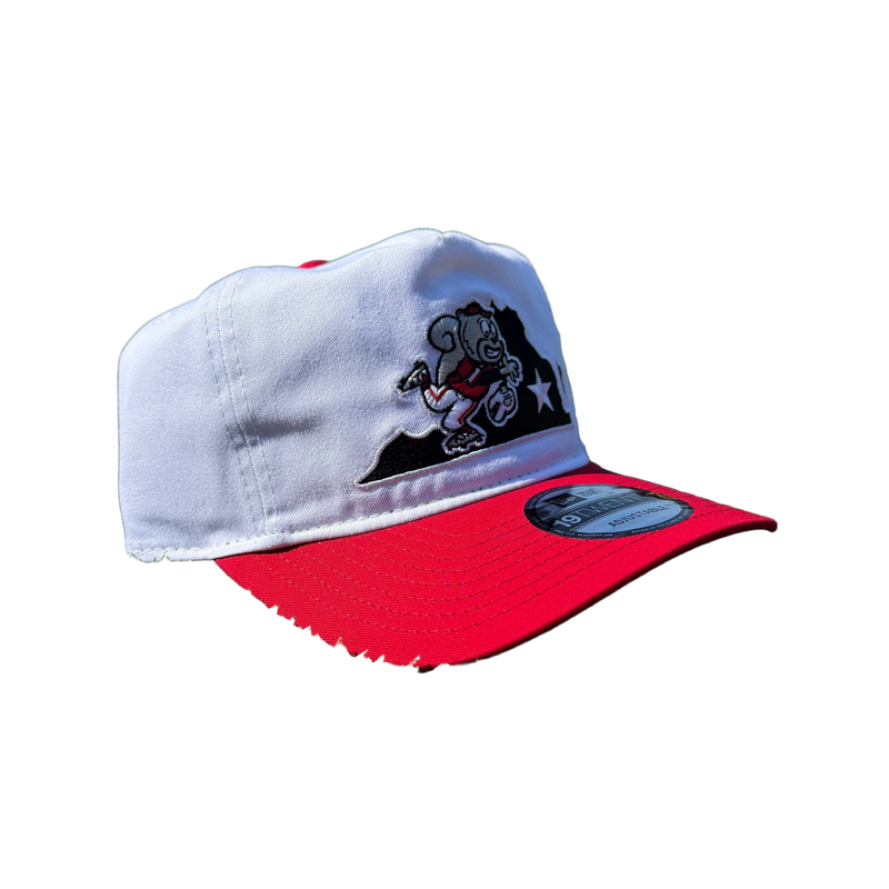 background removed