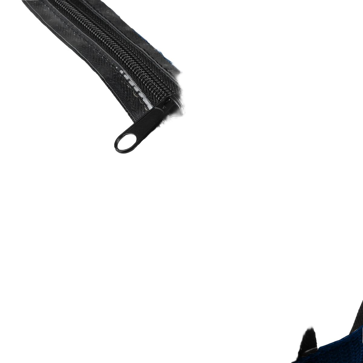 background removed