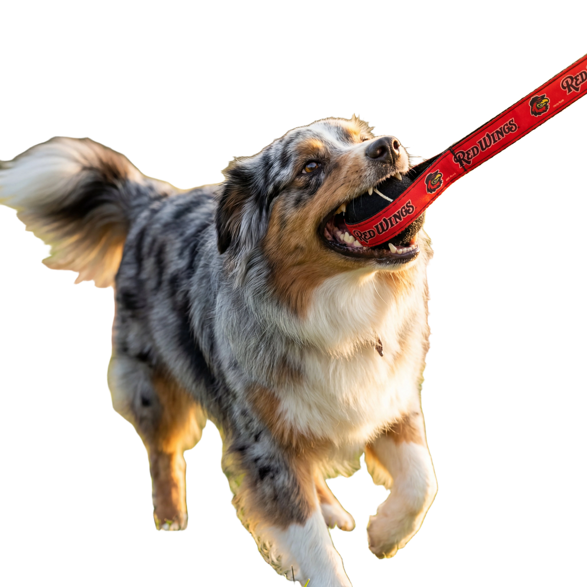 background removed