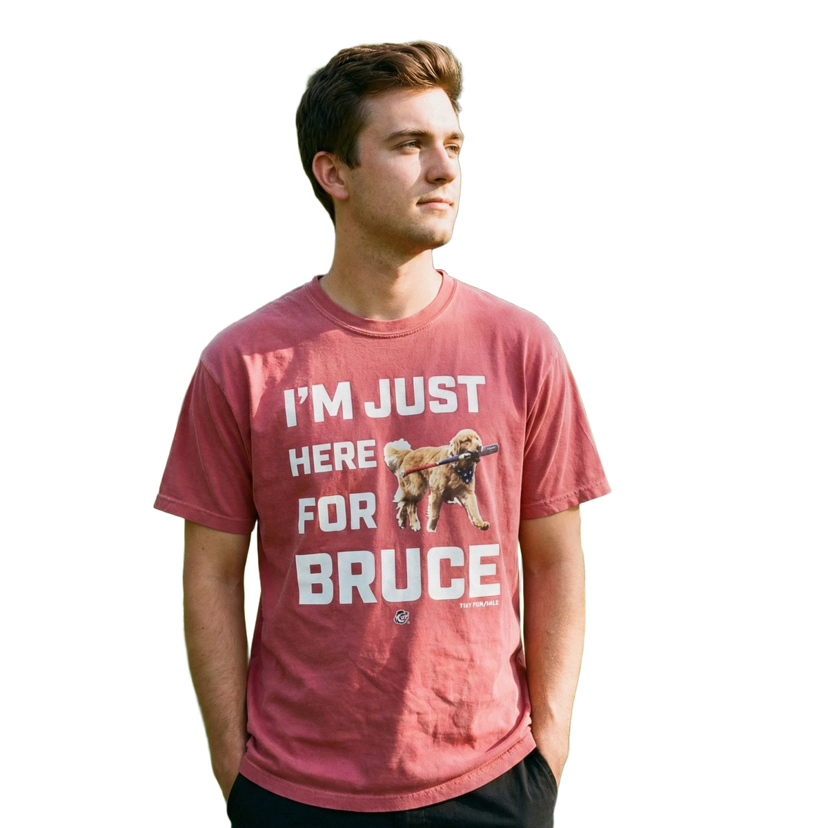 background removed