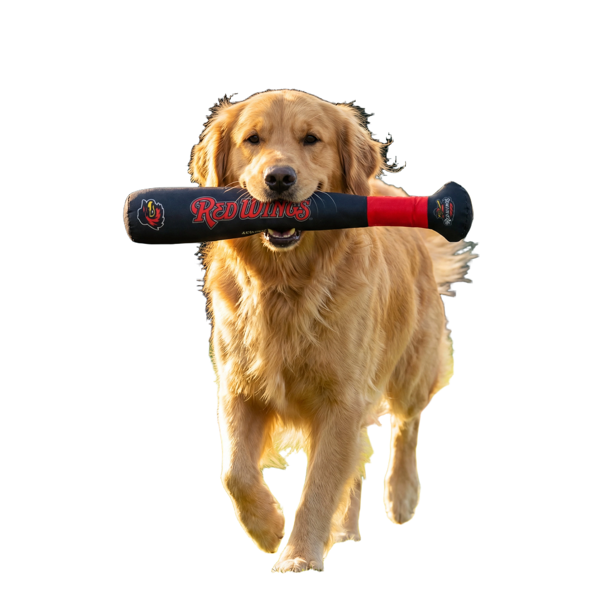 background removed