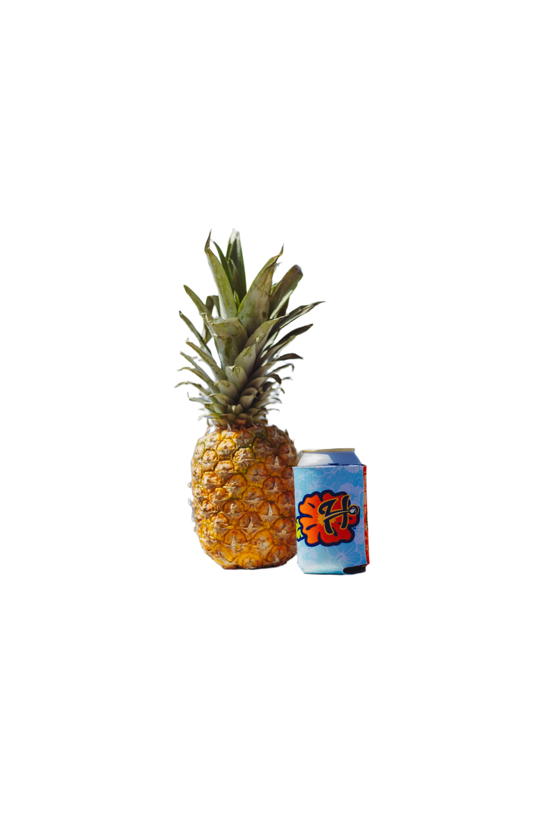 background removed