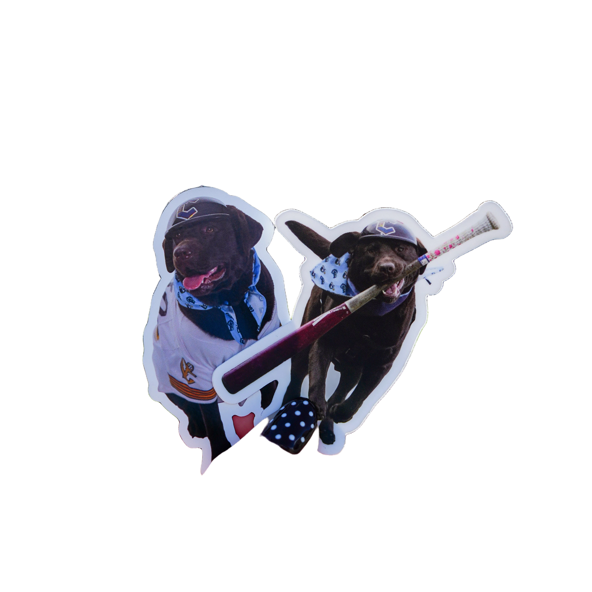 background removed